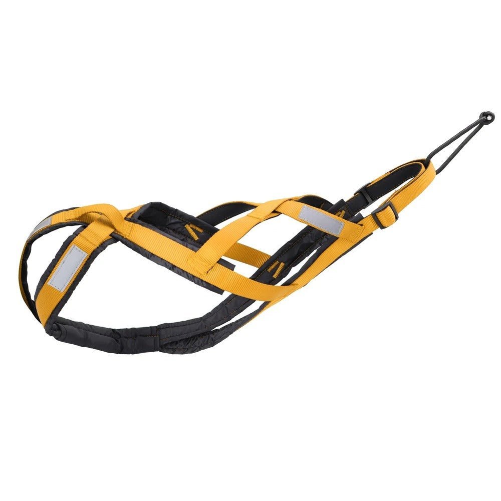 harnais anti traction pour chien - XBack - Mon chien confortable