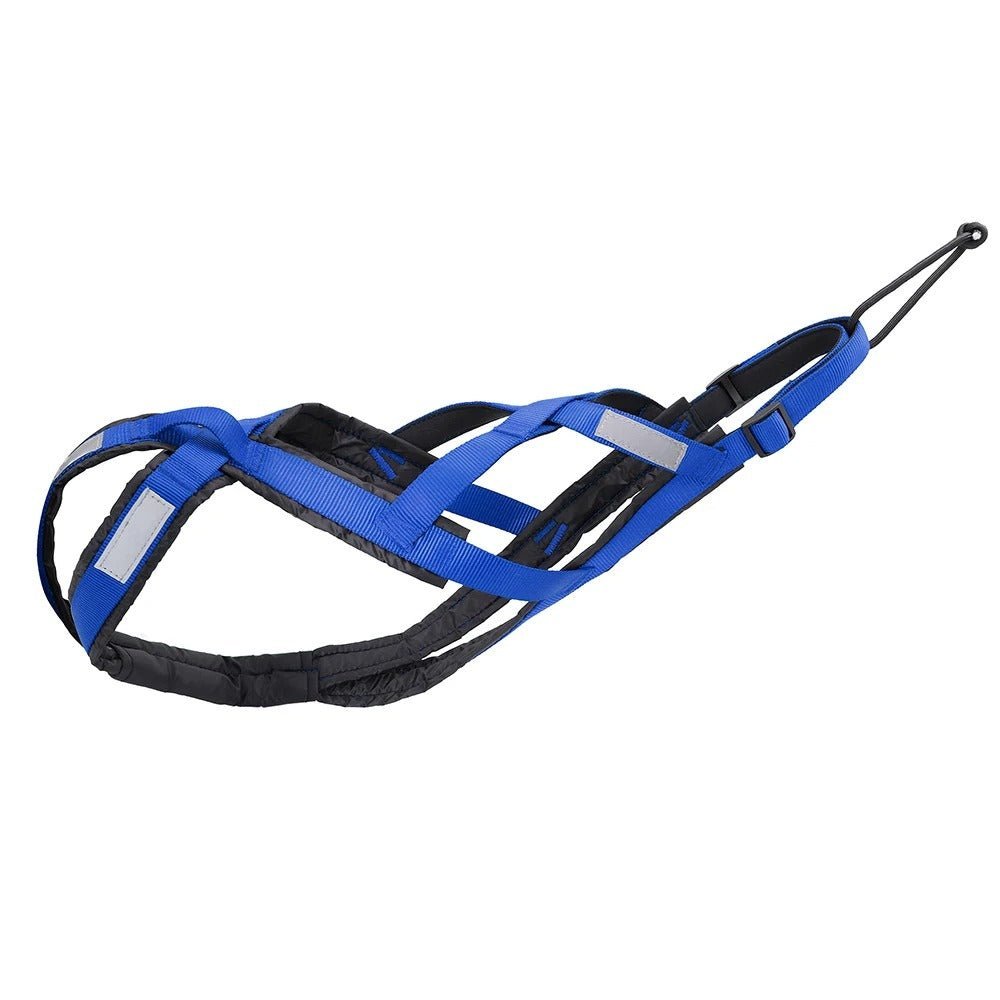 harnais anti traction pour chien - XBack - Mon chien confortable