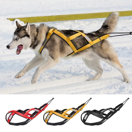 harnais anti traction pour chien - XBack - Mon chien confortable