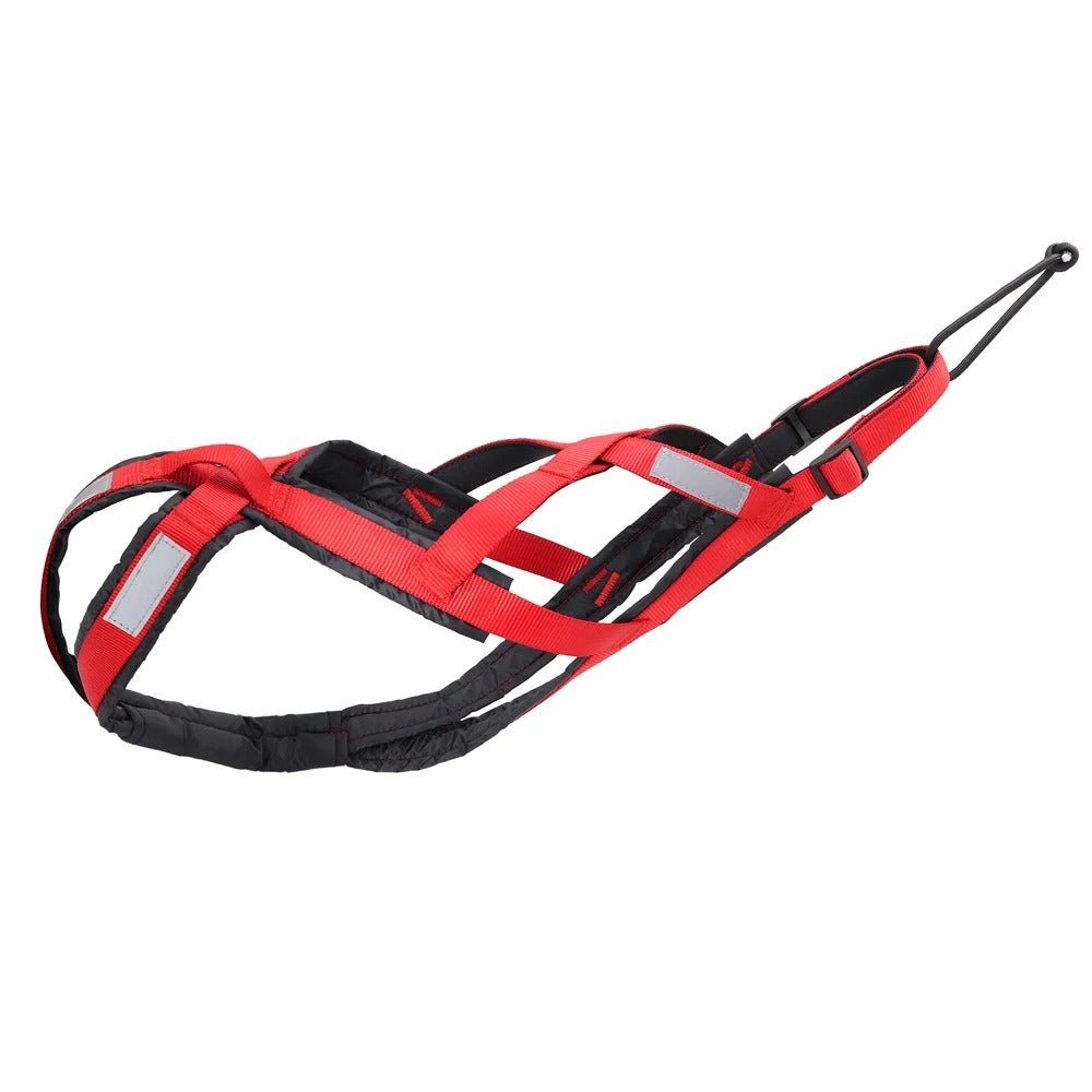 harnais anti traction pour chien - XBack - Mon chien confortable