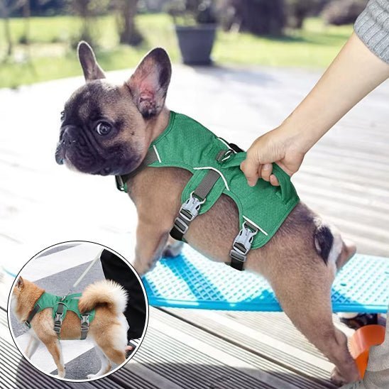 harnais chien - GN - Mon chien confortable