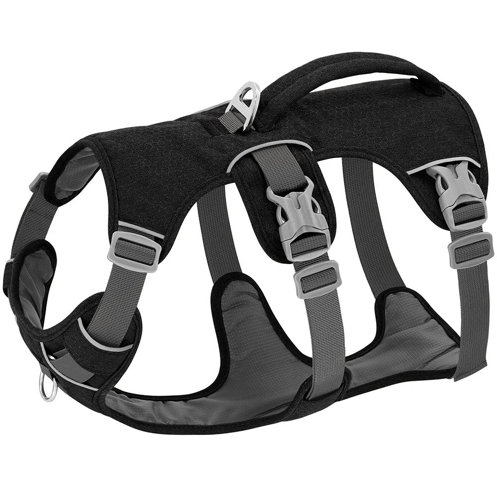 harnais chien - GN - Mon chien confortable