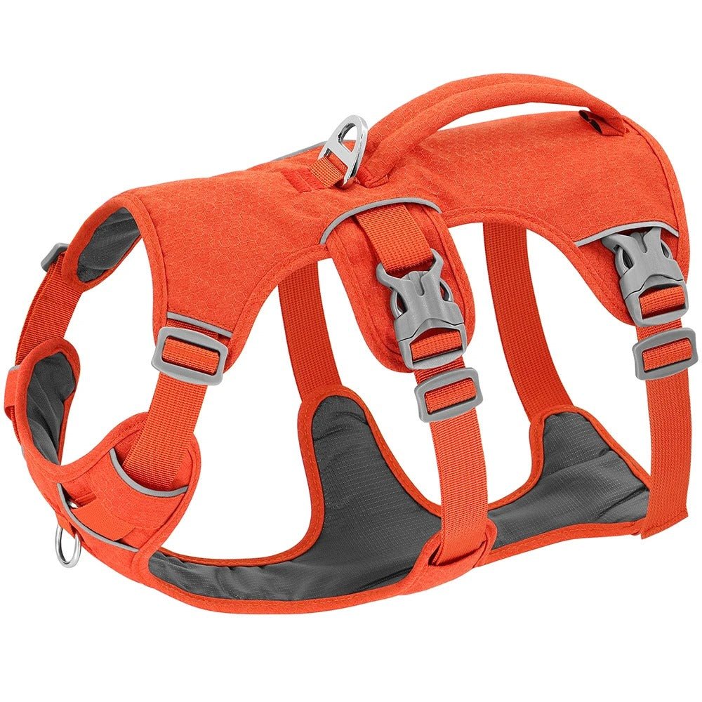 harnais chien - GN - Mon chien confortable