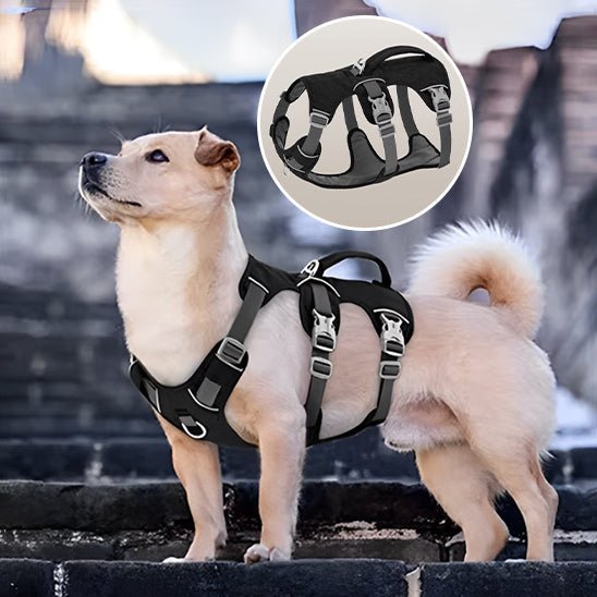 harnais chien - GN - Mon chien confortable