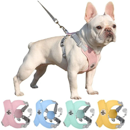 harnais chien - petit chien - Mon chien confortable