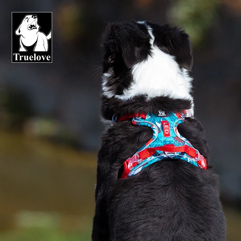 harnais chien - TRUELOVE - Mon chien confortable