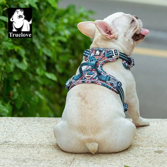 harnais chien - TRUELOVE - Mon chien confortable