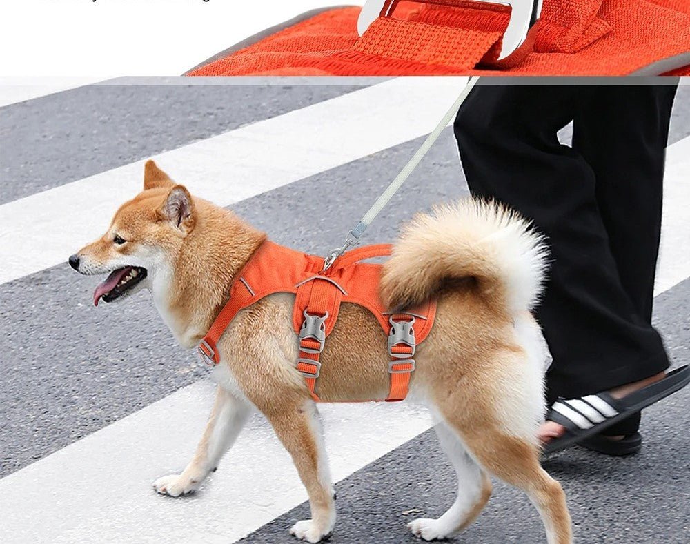 harnais pour chien - Bon - Mon chien confortable