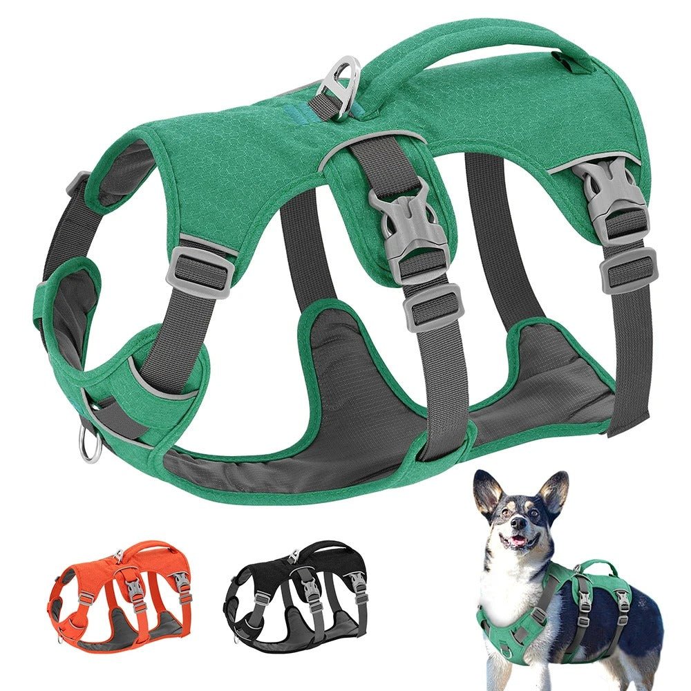 harnais pour chien - Bon - Mon chien confortable