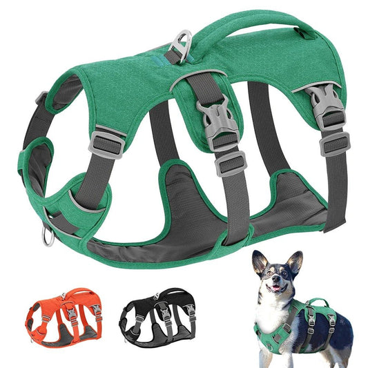 harnais pour chien - Bon - Mon chien confortable