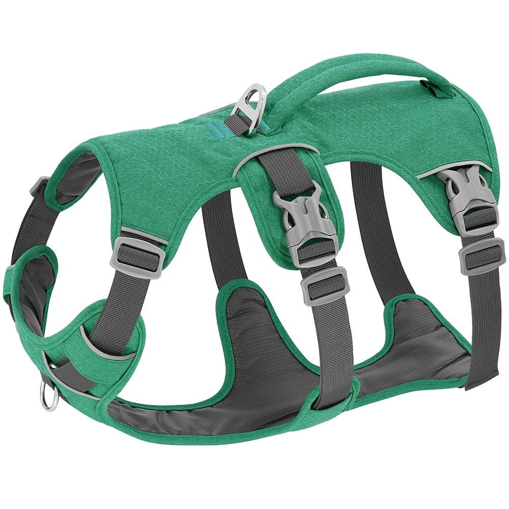 harnais pour chien - Bon - Mon chien confortable