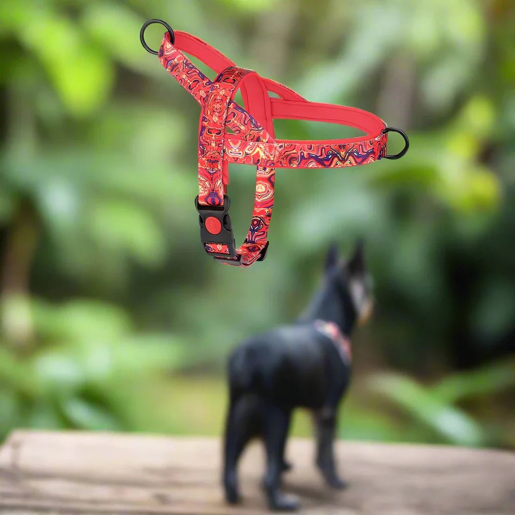 Harnais pour chien - DogSafeHarness™ - Rouge - Mon chien confortable