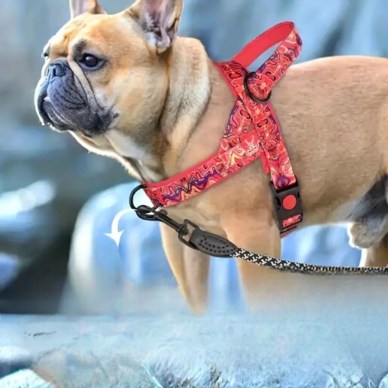 Harnais pour chien - DogSafeHarness™ - Rouge - Mon chien confortable