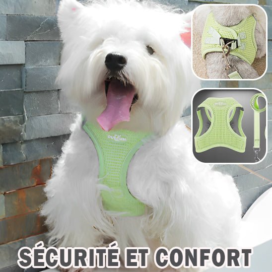 Harnais pour chien - respirant SFP - Mon chien confortable