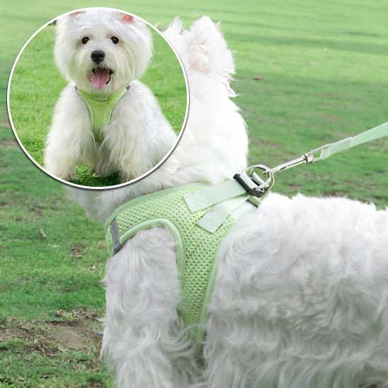 Harnais pour chien - respirant SFP - Mon chien confortable