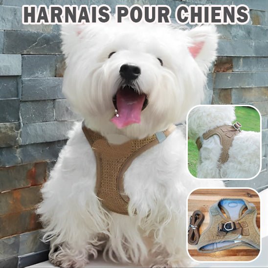 Harnais pour chien - respirant SFP - Mon chien confortable