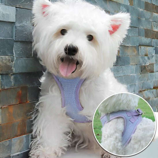 Harnais pour chien - respirant SFP - Mon chien confortable