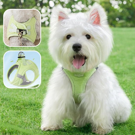 Harnais pour chien - respirant SFP - Mon chien confortable