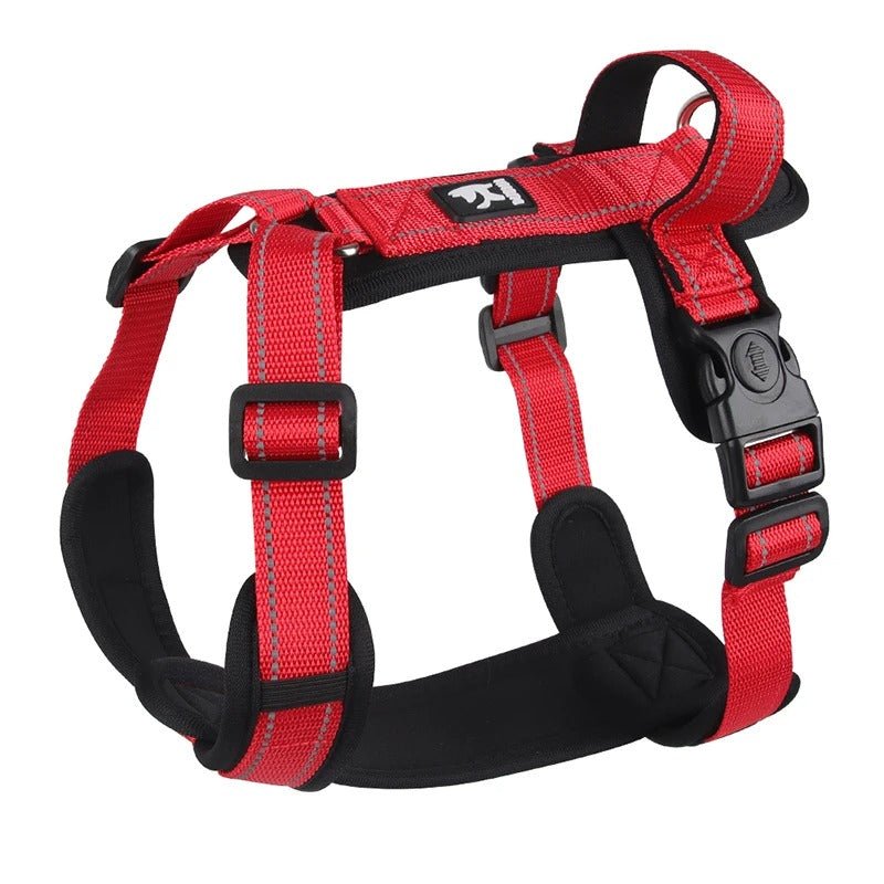 Harnais pour chien - SFP - Mon chien confortable
