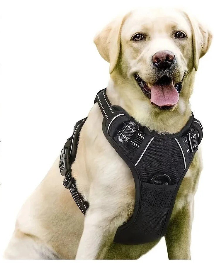 Harnais pour chien - SFP en cuir - Mon chien confortable
