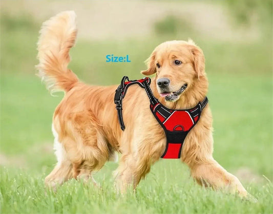 Harnais pour chien - SFP en cuir - Mon chien confortable