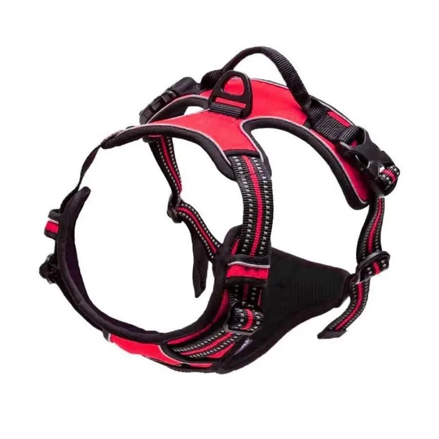 Harnais pour chien - SFP en cuir - Mon chien confortable