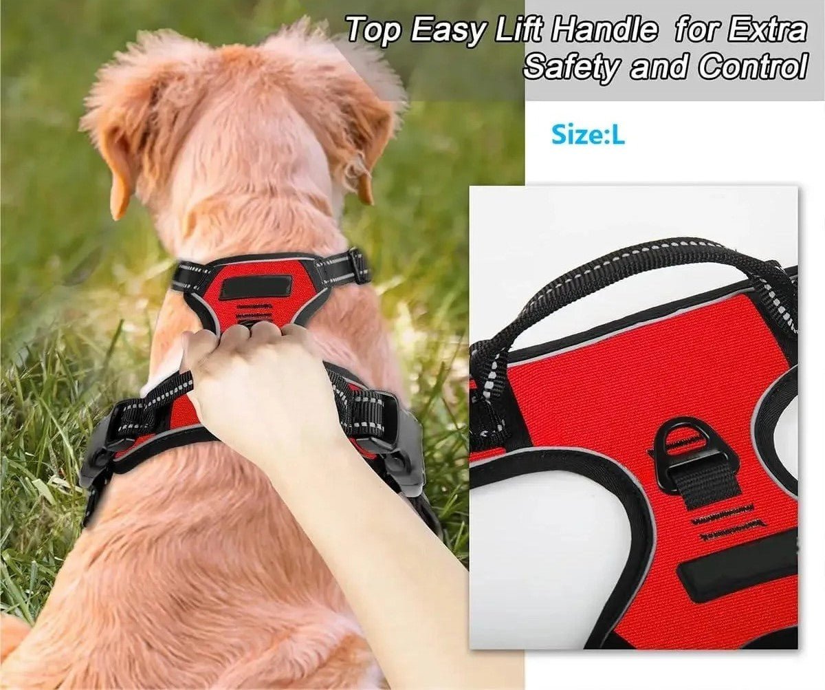 Harnais pour chien - SFP en cuir - Mon chien confortable
