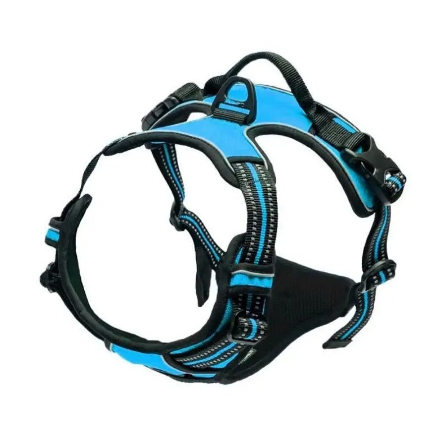 Harnais pour chien - SFP en cuir - Mon chien confortable