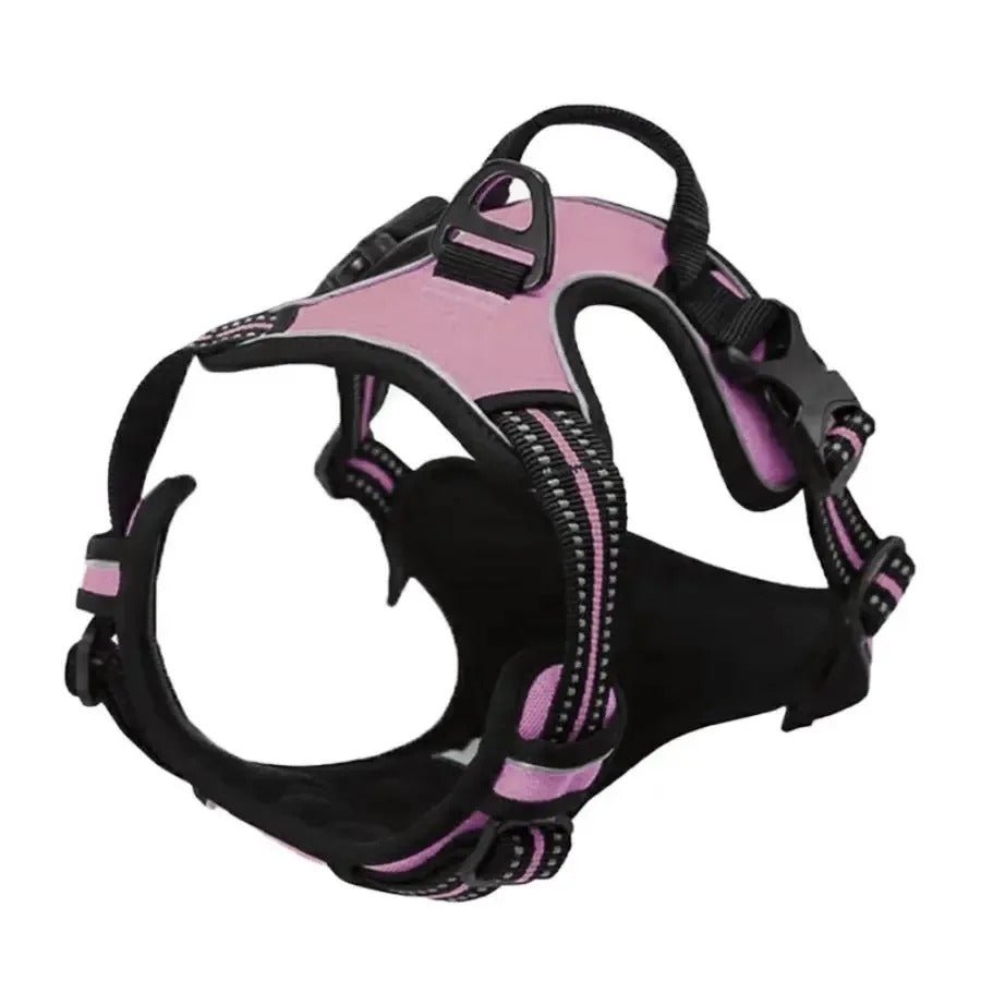 Harnais pour chien - SFP en cuir - Mon chien confortable
