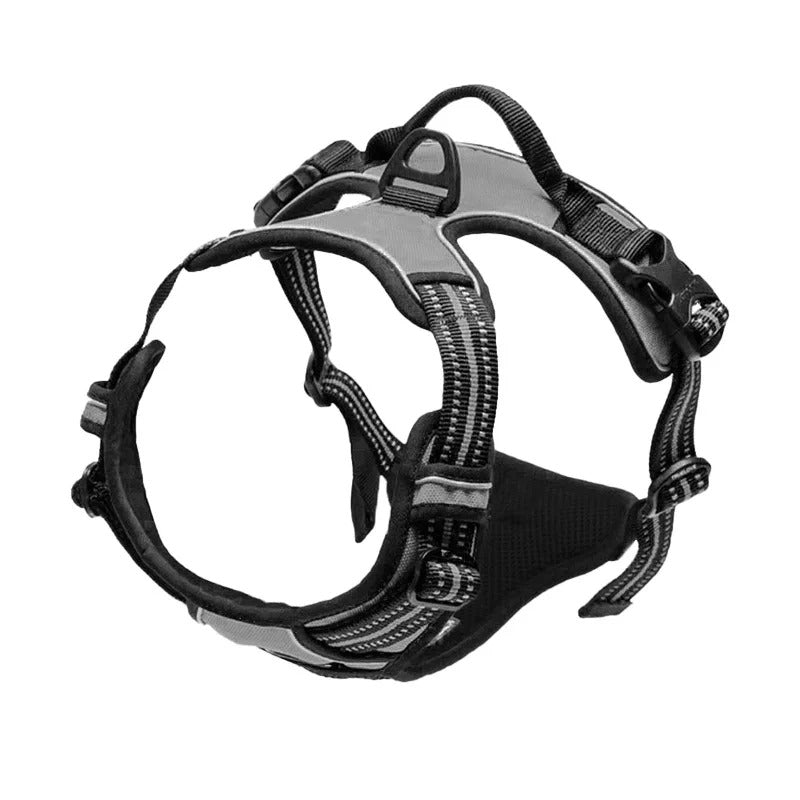 Harnais pour chien - SFP réglable - Mon chien confortable