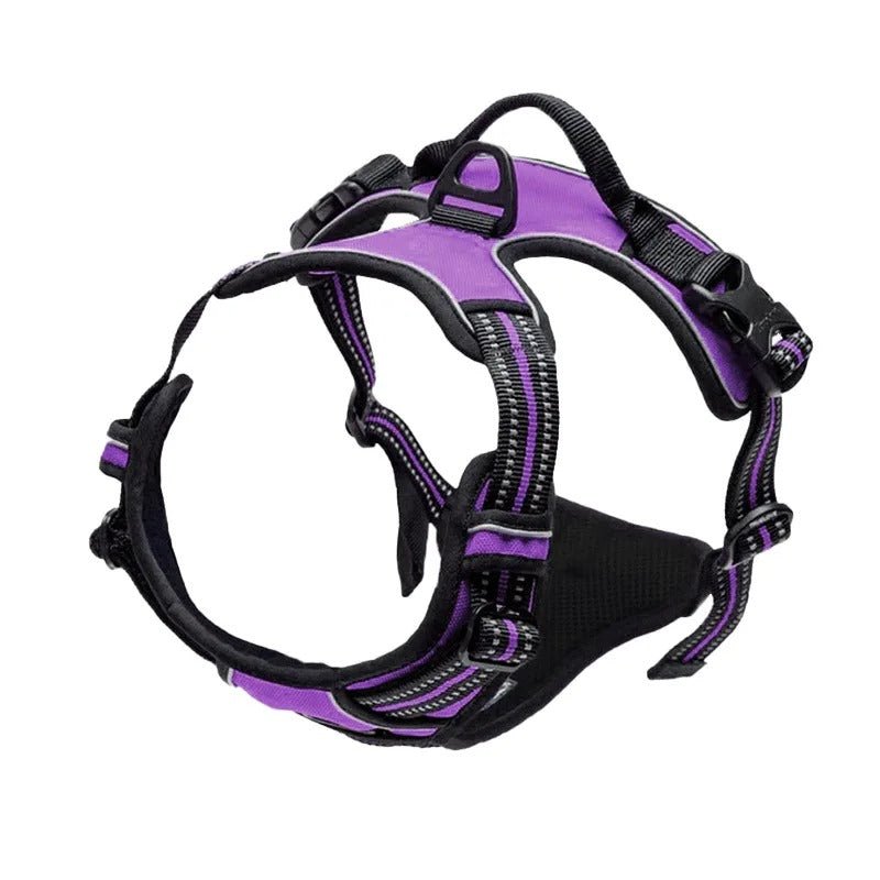 Harnais pour chien - SFP réglable - Mon chien confortable