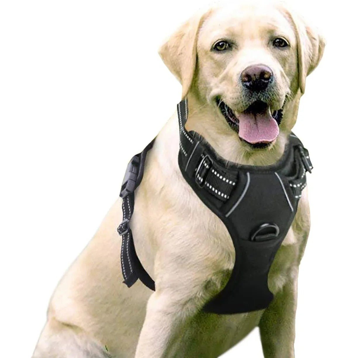 Harnais pour chien - SFP réglable - Mon chien confortable