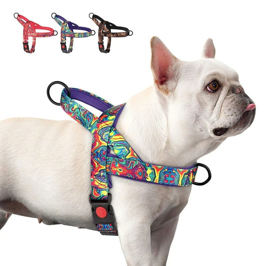 Harnais pour chien - SFPPremenons - Mon chien confortable