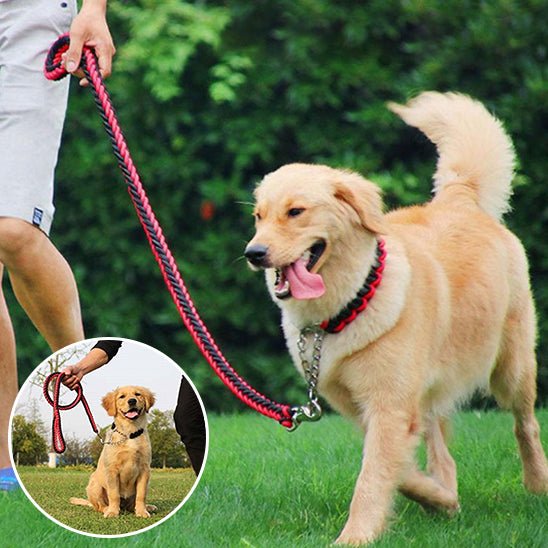 laisse à enrouleur pour chien - Mon chien confortable
