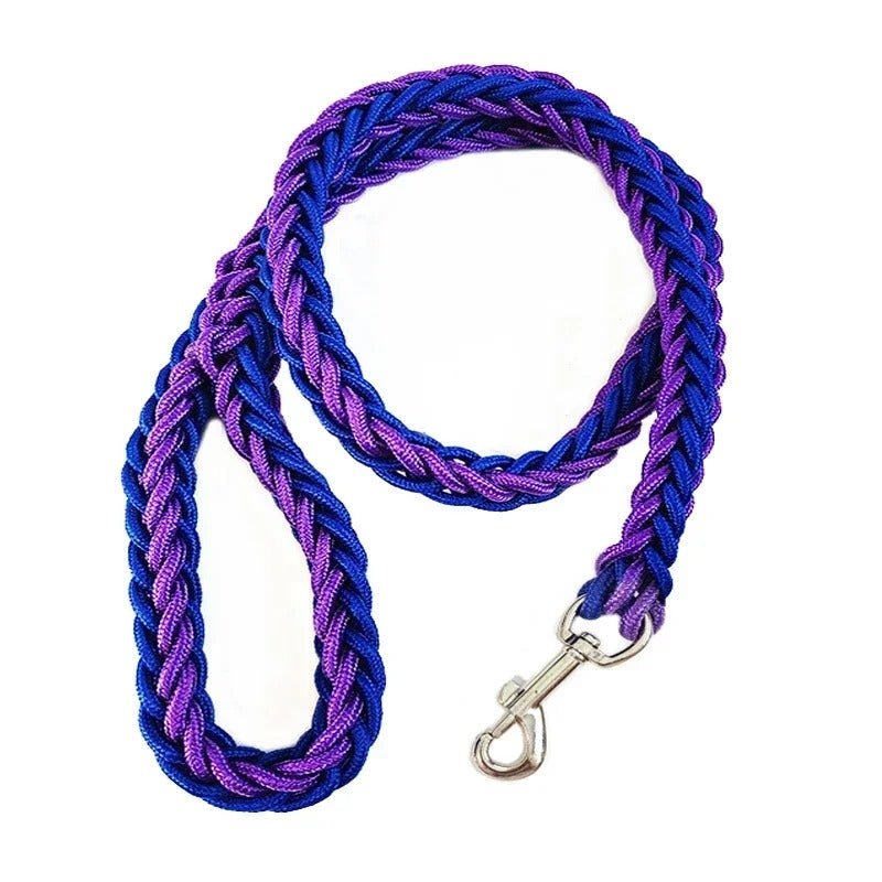 laisse à enrouleur pour chien - Mon chien confortable