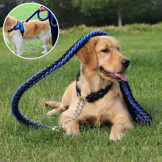 laisse à enrouleur pour chien - Mon chien confortable