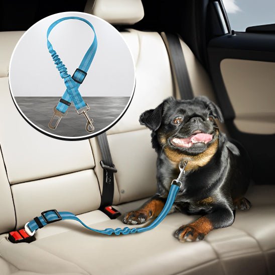laisse chien - ceinture de sécurité - Mon chien confortable