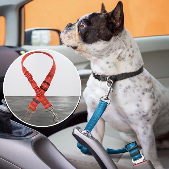 laisse chien - ceinture de sécurité - Mon chien confortable