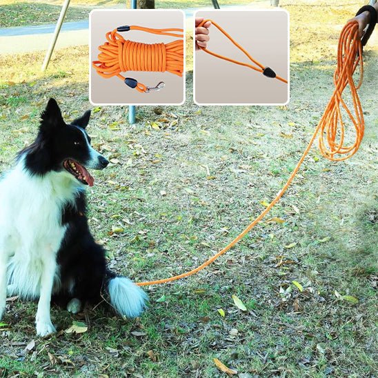 Laisse chien corde - Nylon robuste - Mon chien confortable