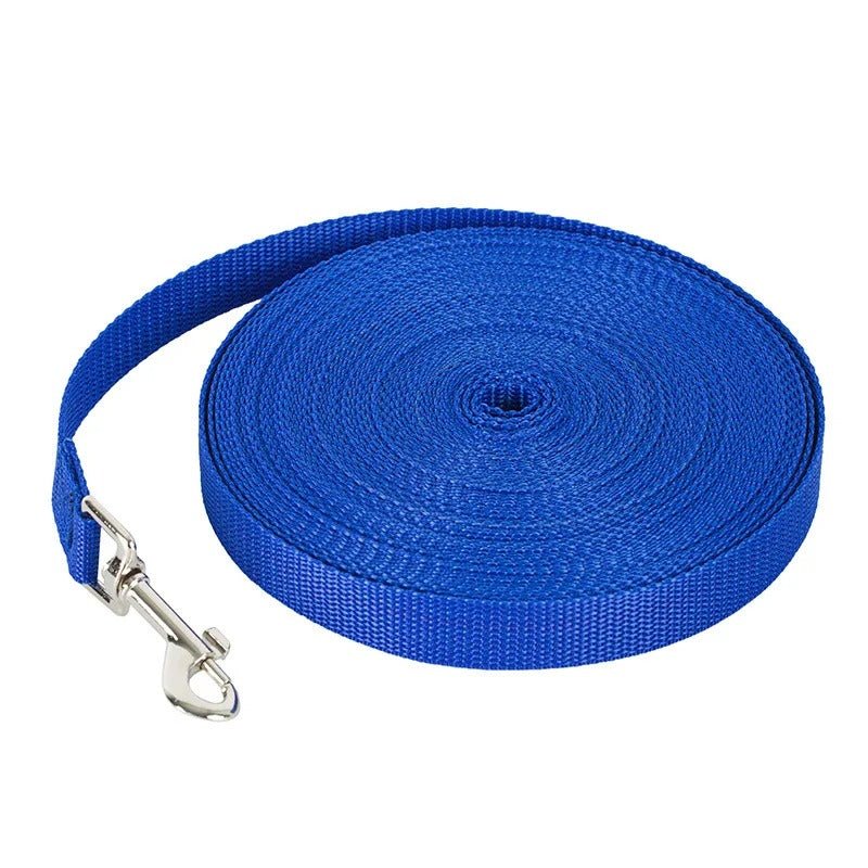 Laisse chien en air - Mon chien confortable