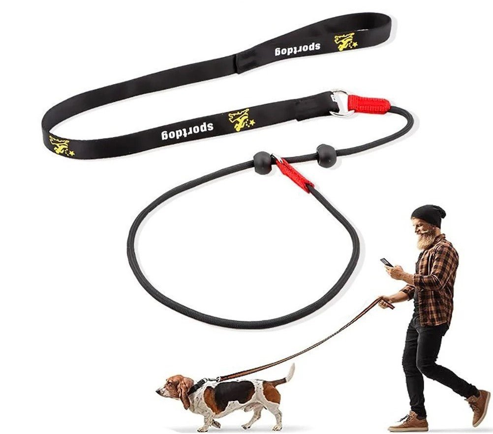 laisse chien - entrainement - Mon chien confortable
