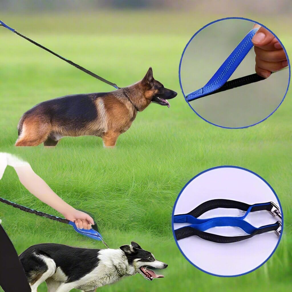 Laisse Chien - HandFreeDogLeash™ - Bleu - Mon chien confortable