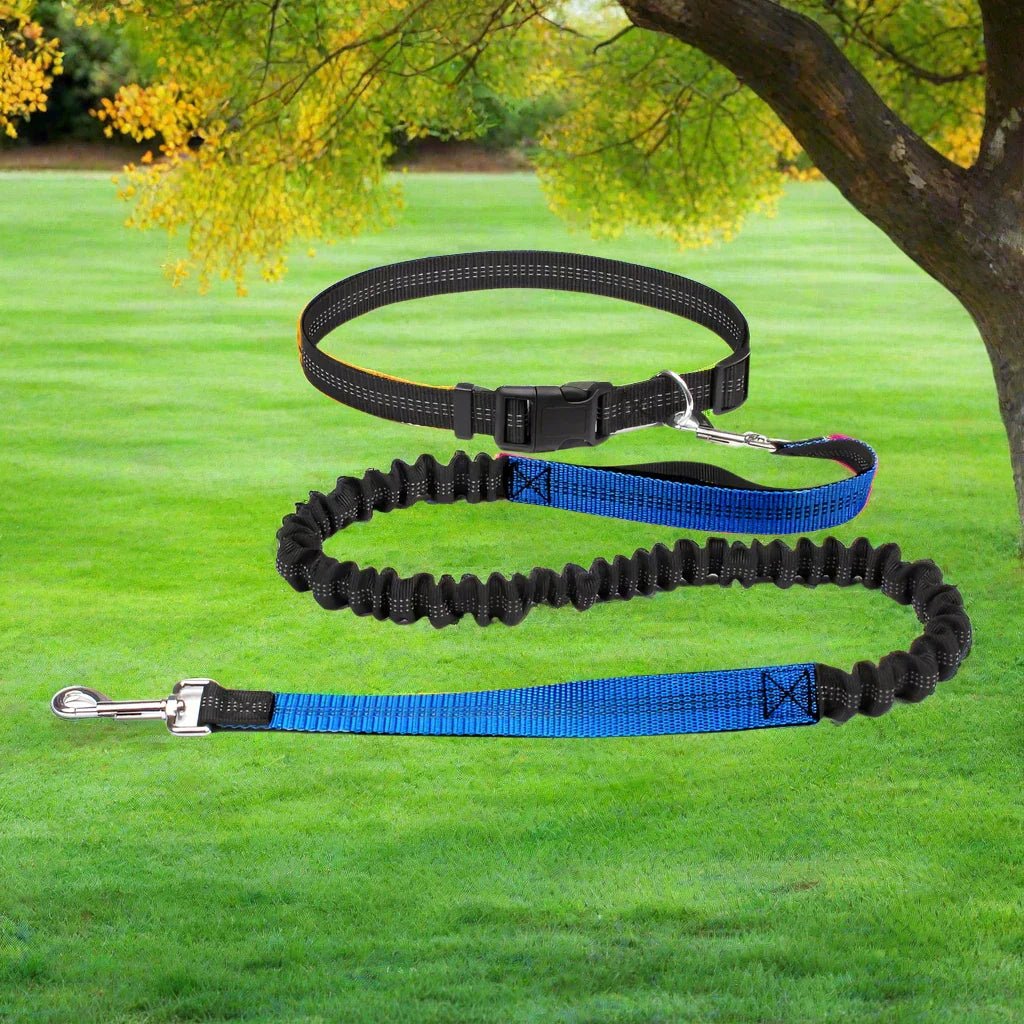 Laisse Chien - HandFreeDogLeash™ - Bleu - Mon chien confortable