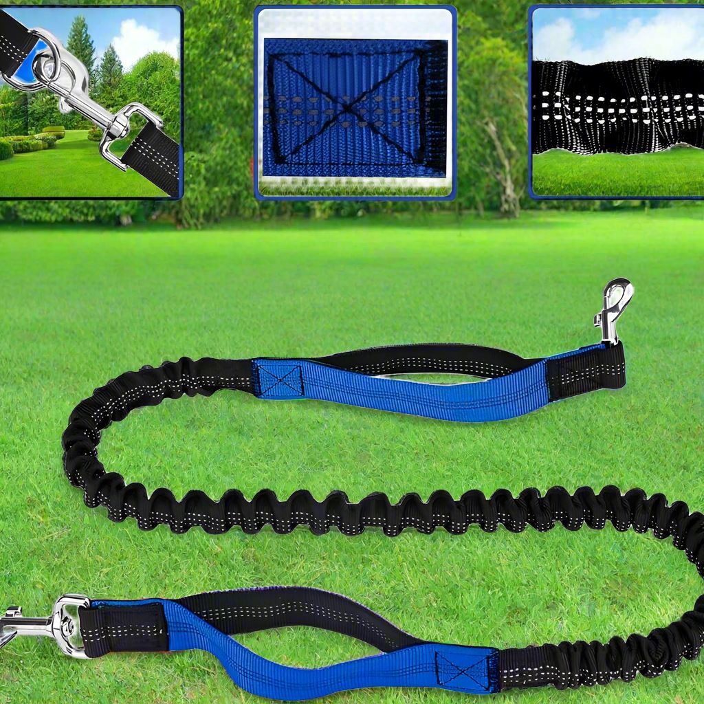 Laisse Chien - HandFreeDogLeash™ - Bleu - Mon chien confortable