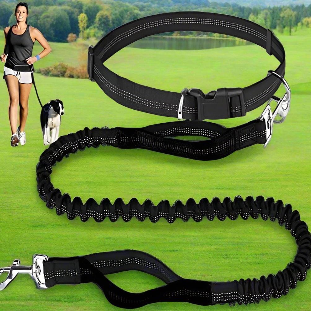 Laisse Chien - HandFreeDogLeash™ - Noir - Mon chien confortable