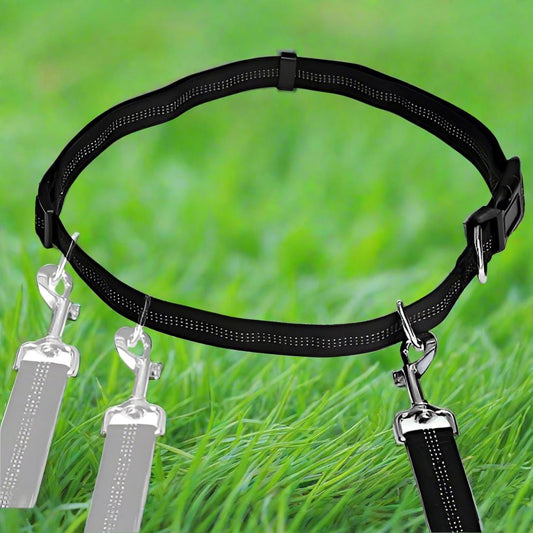 Laisse Chien - HandFreeDogLeash™ - Noir - Mon chien confortable