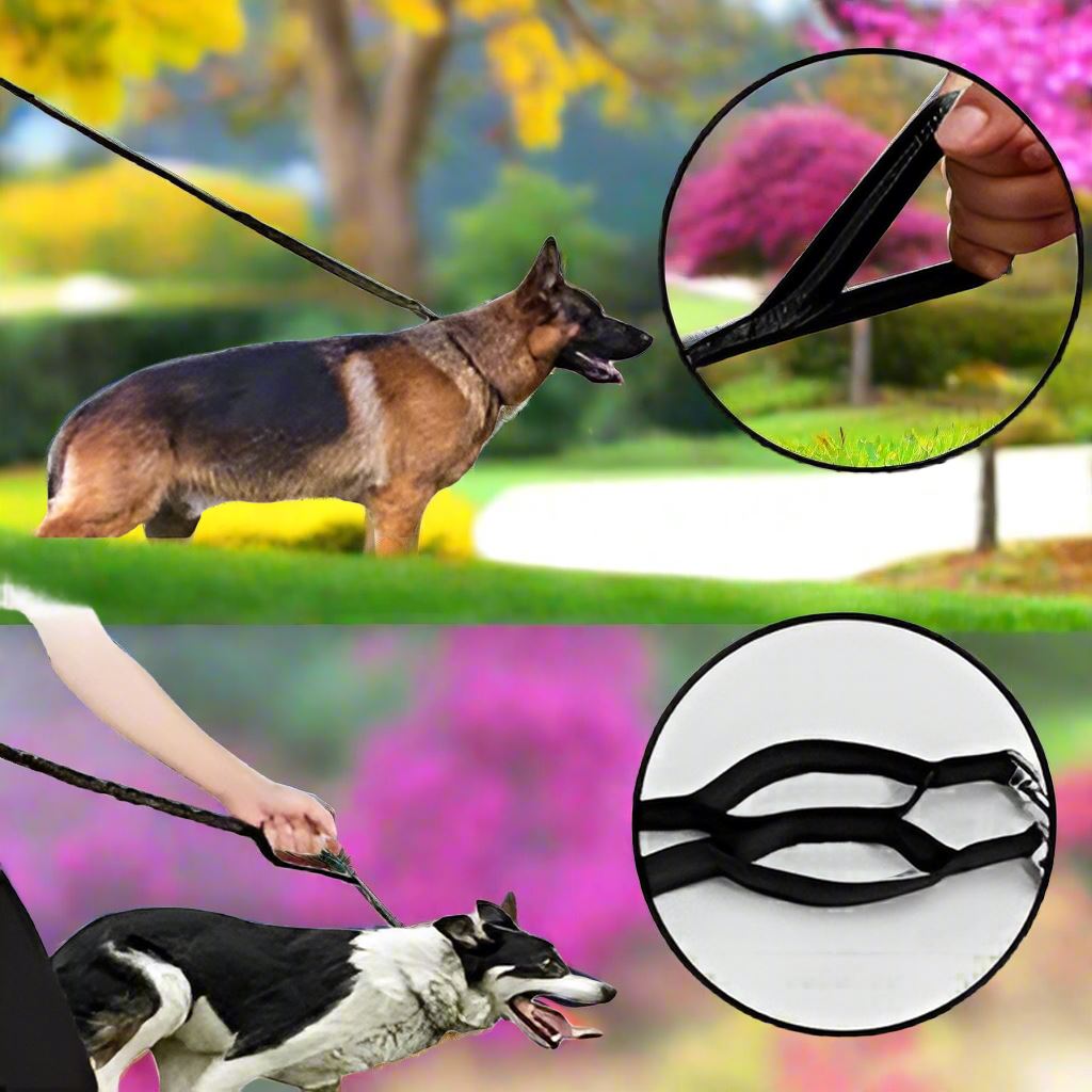 Laisse Chien - HandFreeDogLeash™ - Noir - Mon chien confortable