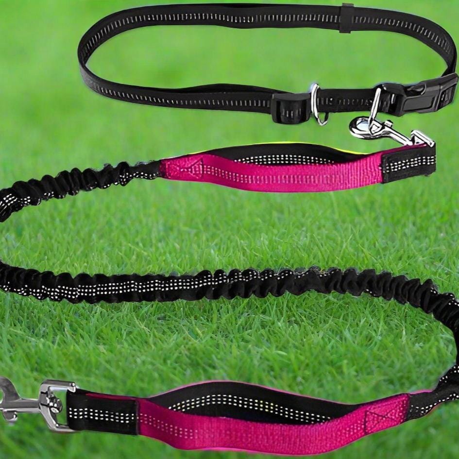 Laisse Chien - HandFreeDogLeash™ - Rose - Mon chien confortable