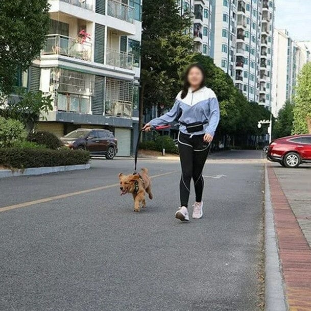 Laisse Chien - HandFreeDogLeash™ - Rose - Mon chien confortable