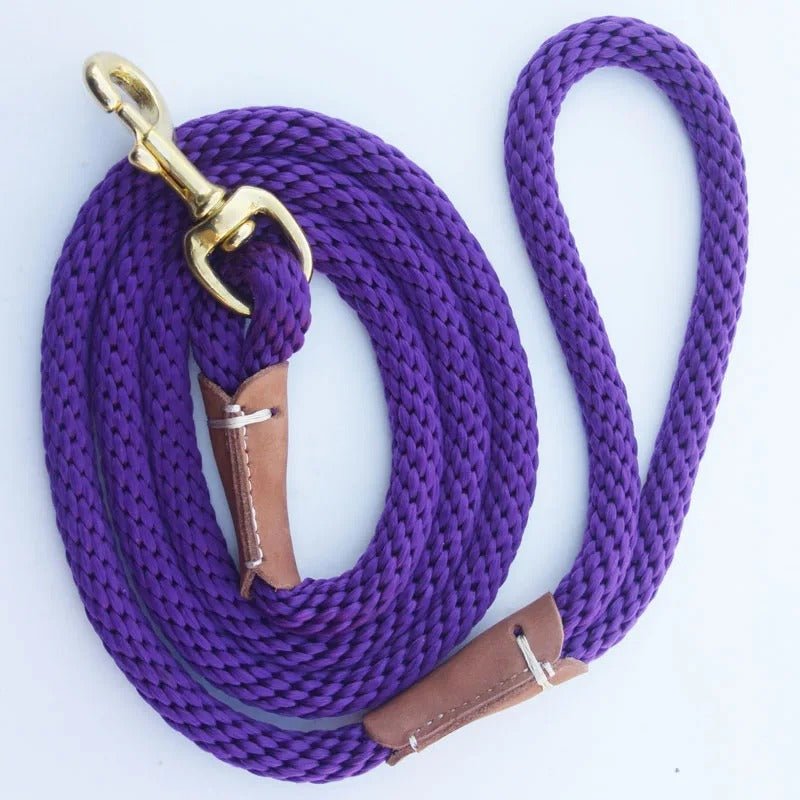 laisse chien purpre, café, bleue profond - Mon chien confortable